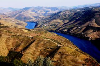 Rota das Elevações Sagradas no Alto Douro Vinhateiro